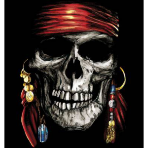 Camiseta Jack Sparrow...